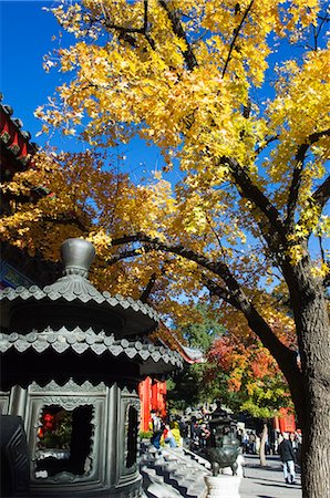 simsearch:841-03055645,k - Couleurs d'automne au temple de Fragrant Hills Park dans le Western Hills, Beijing, Chine, Asie Photographie de stock - Rights-Managed, Code: 841-03055791