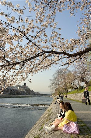 Girls sitting on banks of Kamogawa river watching cherry blossoms, Kyoto city, Honshu island, Japan, Asia Stock Photo - Rights-Managed, Code: 841-03055991