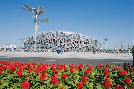 Flowers and The Birds Nest National Stadium designed by Herzog and de Meuren in the Olympic Green, Beijing, China, Asia Foto de stock - Con derechos protegidos, Código: 841-03056135