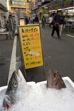 photos of a fish frozen business - Poisson restaurant, Shinjuku, Tokyo, Honshu, Japon, Asie Photographie de stock - Rights-Managed, Code: 841-03056286