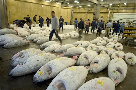 Tsukiji Fish Market, Tsukiji, Tokio, Honshu, Japan, Asien Stockbilder - Lizenzpflichtiges, Bildnummer: 841-03056328