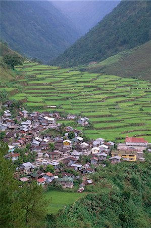 simsearch:841-03055495,k - Rice terraces and village, Banaue, UNESCO World Heritage Site, Luzon, Philippines, Southeast Asia, Asia Foto de stock - Con derechos protegidos, Código: 841-03056468