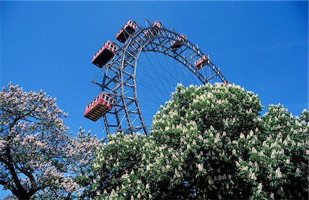 simsearch:841-06033230,k - View of the giant Prater ferris wheel above chestnut trees in bloom, Prater entertainment park, Vienna, Austria, Europe Stock Photo - Rights-Managed, Code: 841-03056813
