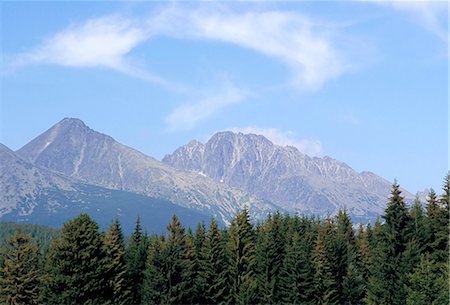 simsearch:841-03062708,k - Mountain pines, Vysoke Tatry mountains, Vysoke Tatry, Slovakia, Europe Fotografie stock - Rights-Managed, Codice: 841-03056834