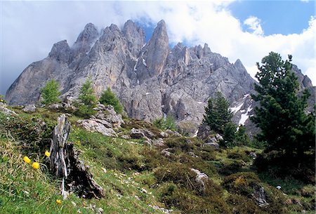 simsearch:841-02946111,k - Sassolungo range, 3181m, Val Gardena, Dolomites, Alto Adige, Italy, Europe Stock Photo - Rights-Managed, Code: 841-03056864