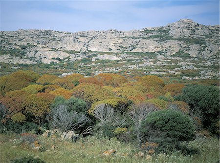 simsearch:841-03057080,k - Asinara, Sardaigne, Italie, Europe Photographie de stock - Rights-Managed, Code: 841-03057038