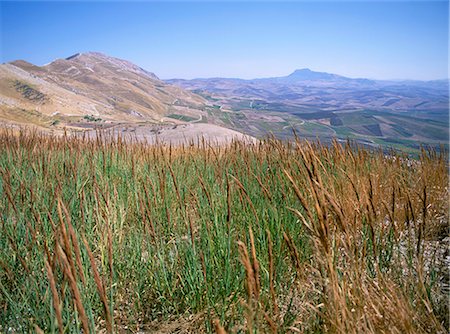 simsearch:841-03057217,k - Patinico landscape, island of Sicily, Italy, Mediterranean, Europe Foto de stock - Con derechos protegidos, Código: 841-03057201