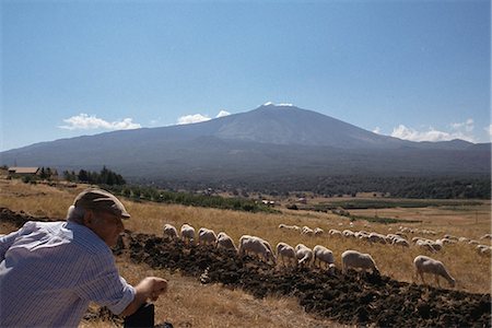 shepherd and sheep - Shepherd, Mount Etna, Sicily, Italy, Europe Stock Photo - Rights-Managed, Code: 841-03057284