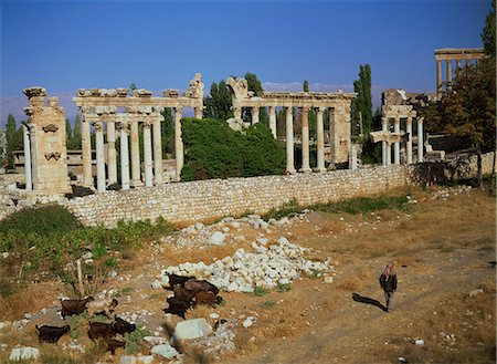 Temple of Venus, Baalbek, UNESCO World Heritage Site, Lebanon, Middle East Stock Photo - Rights-Managed, Code: 841-03057412