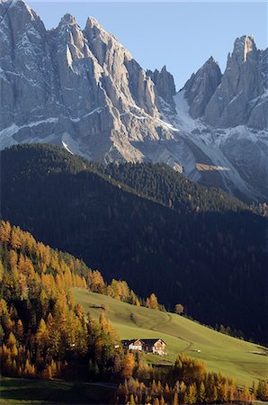 fall leaves rolling hills - Santa Maddalena, Val di Funes, Dolomites, Bolzano province, Trentino-Alto Adige, Italy, Europe Stock Photo - Rights-Managed, Code: 841-03057535