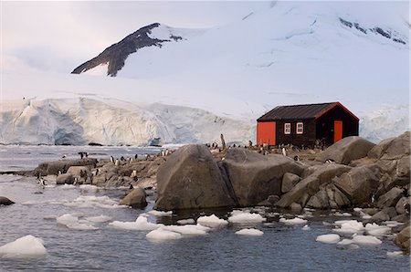 research building - La base britannique, Port Lockroy, péninsule Antarctique, l'Antarctique, les régions polaires Photographie de stock - Rights-Managed, Code: 841-03057735