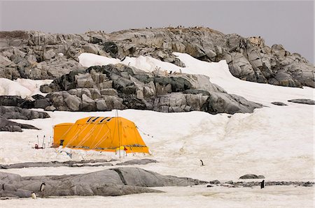Scientists camp, Petermann Island, Lemaire Channel, Antarctic Peninsula, Antarctica, Polar Regions Foto de stock - Con derechos protegidos, Código: 841-03057740