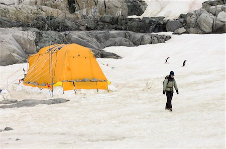 Scientists camp, Petermann Island, Lemaire Channel, Antarctic Peninsula, Antarctica, Polar Regions Foto de stock - Con derechos protegidos, Código: 841-03057741