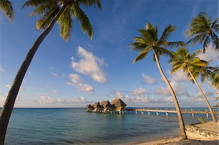 Pearl Beach Resort, Tikehau, Tuamotu Archipelago, French Polynesia, Pacific Islands, Pacific Stock Photo - Rights-Managed, Code: 841-03058104