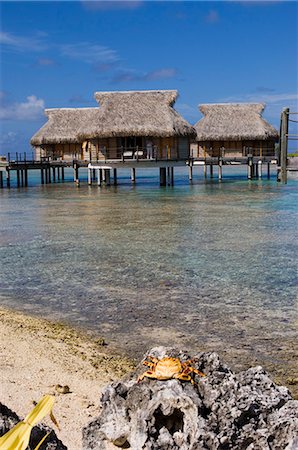 Pearl Beach Resort, Tikehau, Tuamotu Archipelago, French Polynesia, Pacific Islands, Pacific Foto de stock - Con derechos protegidos, Código: 841-03058111