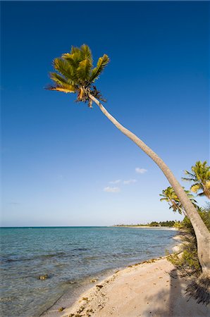 Tikehau, Tuamotu Archipelago, French Polynesia, Pacific Islands, Pacific Foto de stock - Con derechos protegidos, Código: 841-03058162