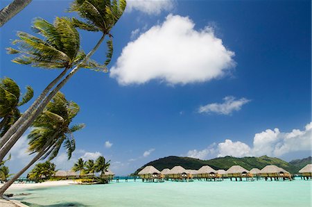 simsearch:841-03058165,k - Pearl Beach Resort, Bora-Bora, Leeward group, Society Islands, French Polynesia, Pacific Islands, Pacific Foto de stock - Con derechos protegidos, Código: 841-03058180