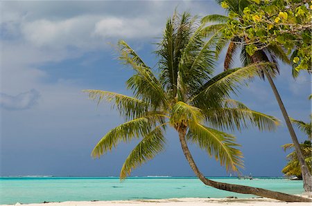 scenes of bora bora - Bora-Bora, Leeward group, Society Islands, French Polynesia, Pacific Islands, Pacific Stock Photo - Rights-Managed, Code: 841-03058209