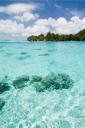 Bora-Bora, groupe sous le vent, les îles de la société, Polynésie française, îles du Pacifique, du Pacifique Photographie de stock - Rights-Managed, Code: 841-03058203