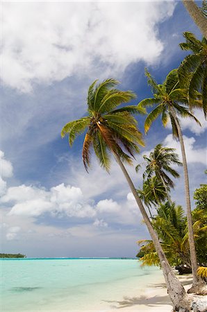 Bora-Bora, groupe sous le vent, les îles de la société, Polynésie française, îles du Pacifique, du Pacifique Photographie de stock - Rights-Managed, Code: 841-03058211
