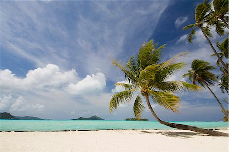 Bora-Bora, groupe sous le vent, les îles de la société, Polynésie française, îles du Pacifique, du Pacifique Photographie de stock - Rights-Managed, Code: 841-03058212