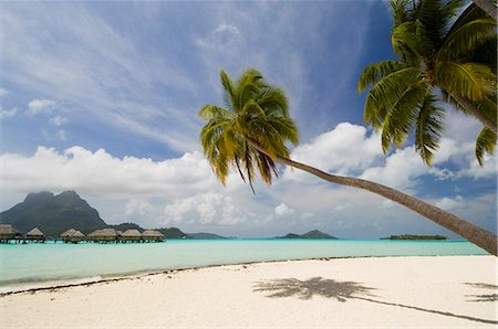simsearch:700-03440194,k - Bora-Bora, Leeward group, Society Islands, French Polynesia, Pacific Islands, Pacific Stock Photo - Rights-Managed, Code: 841-03058213