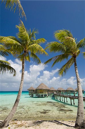 pearl beach - Pearl Beach Resort, Tikehau, Tuamotu Archipelago, French Polynesia, Pacific Islands, Pacific Stock Photo - Rights-Managed, Code: 841-03058234
