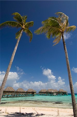 Pearl Beach Resort, Tikehau, Tuamotu Archipelago, French Polynesia, Pacific Islands, Pacific Foto de stock - Con derechos protegidos, Código: 841-03058235