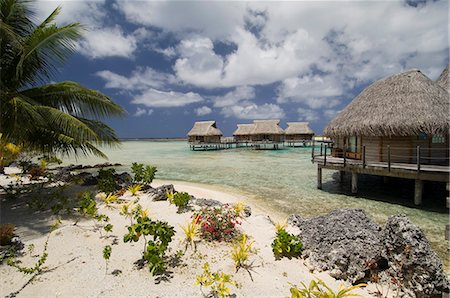 Pearl Beach Resort, Tikehau, Tuamotu Archipelago, French Polynesia, Pacific Islands, Pacific Stock Photo - Rights-Managed, Code: 841-03058236