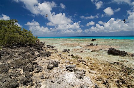 Bird Island, Tikehau, Tuamotu Archipelago, French Polynesia, Pacific Islands, Pacific Foto de stock - Con derechos protegidos, Código: 841-03058245