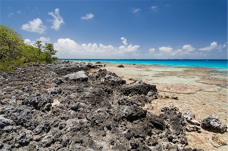 Bird Island, Tikehau, Tuamotu Archipelago, French Polynesia, Pacific Islands, Pacific Foto de stock - Con derechos protegidos, Código: 841-03058249