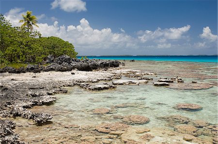 Bird Island, Tikehau, Tuamotu Archipelago, French Polynesia, Pacific Islands, Pacific Foto de stock - Con derechos protegidos, Código: 841-03058251