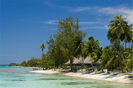 rangiroa atoll - Kia Ora Resort, Rangiroa, archipel des Tuamotu, Polynésie française, îles du Pacifique, du Pacifique Photographie de stock - Rights-Managed, Code: 841-03058264