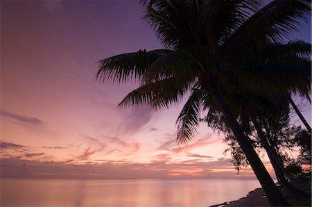 simsearch:841-03058260,k - Rangiroa, Tuamotu Archipelago, French Polynesia, Pacific Islands, Pacific Foto de stock - Con derechos protegidos, Código: 841-03058280