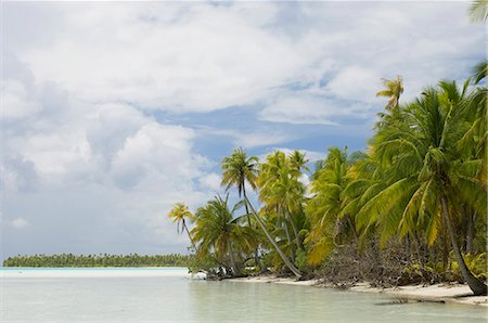 rangiroa atoll - Blue Lagoon, Rangiroa, Tuamotu archipel, Polynésie française, îles du Pacifique, du Pacifique Photographie de stock - Rights-Managed, Code: 841-03058296