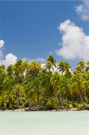 rangiroa atoll - Blue Lagoon, Rangiroa, Tuamotu archipel, Polynésie française, îles du Pacifique, du Pacifique Photographie de stock - Rights-Managed, Code: 841-03058291