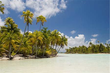 polynésie - Blue Lagoon, Rangiroa, Tuamotu archipel, Polynésie française, îles du Pacifique, du Pacifique Photographie de stock - Rights-Managed, Code: 841-03058292