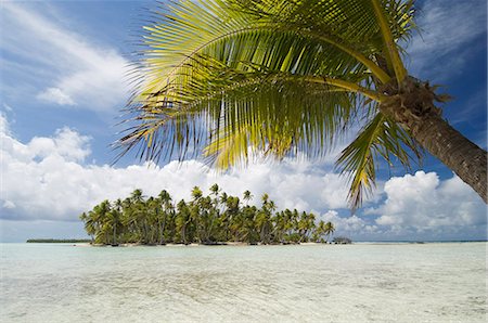 rangiroa atoll - Blue Lagoon, Rangiroa, Tuamotu archipel, Polynésie française, îles du Pacifique, du Pacifique Photographie de stock - Rights-Managed, Code: 841-03058304