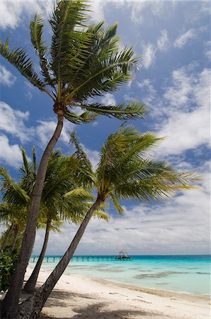 fakarava - Fakarawa, Tuamotu Archipelago, French Polynesia, Pacific Islands, Pacific Fotografie stock - Rights-Managed, Codice: 841-03058307