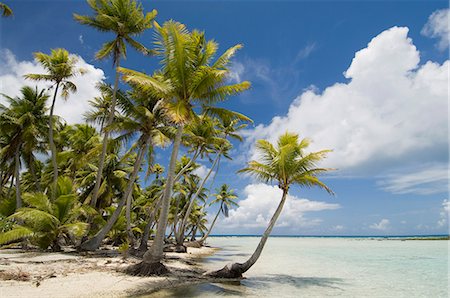 rangiroa atoll - Blue Lagoon, Rangiroa, Tuamotu archipel, Polynésie française, îles du Pacifique, du Pacifique Photographie de stock - Rights-Managed, Code: 841-03058301