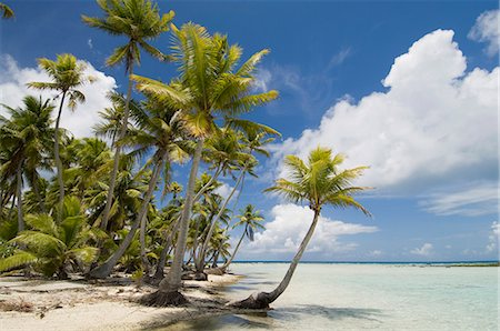 simsearch:841-02947050,k - Blue Lagoon, Rangiroa, Tuamotu Archipelago, French Polynesia, Pacific Islands, Pacific Stock Photo - Rights-Managed, Code: 841-03058301