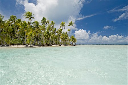 rangiroa atoll - Blue Lagoon, Rangiroa, Tuamotu archipel, Polynésie française, îles du Pacifique, du Pacifique Photographie de stock - Rights-Managed, Code: 841-03058302