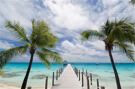 fakarava - Fakarawa, Tuamotu Archipelago, French Polynesia, Pacific Islands, Pacific Fotografie stock - Rights-Managed, Codice: 841-03058312