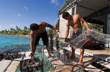 perla - Hinano Black Pearl farm, Fakarawa, Tuamotu Archipelago, French Polynesia, Pacific Islands, Pacific Foto de stock - Con derechos protegidos, Código: 841-03058326