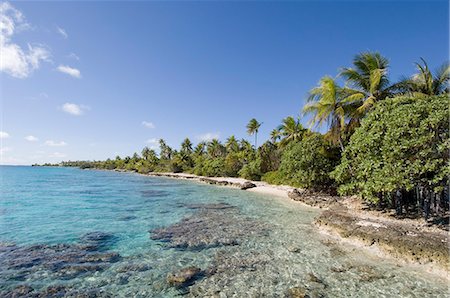 simsearch:841-03058260,k - Fakarawa, Tuamotu Archipelago, French Polynesia, Pacific Islands, Pacific Foto de stock - Con derechos protegidos, Código: 841-03058323