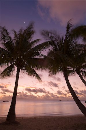 fakarava - Fakarawa, Tuamotu Archipelago, French Polynesia, Pacific Islands, Pacific Fotografie stock - Rights-Managed, Codice: 841-03058336