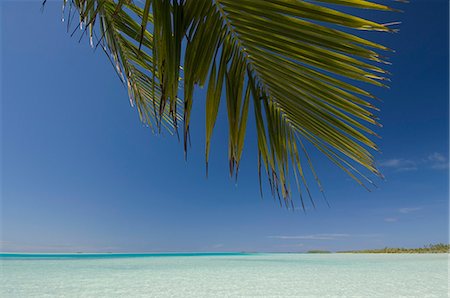 fakarava - Fakarawa, Tuamotu Archipelago, French Polynesia, Pacific Islands, Pacific Fotografie stock - Rights-Managed, Codice: 841-03058339