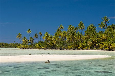 fakarava - Fakarawa, Tuamotu Archipelago, French Polynesia, Pacific Islands, Pacific Stock Photo - Rights-Managed, Code: 841-03058346