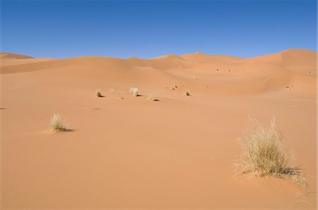 Akakus, Sahara desert, Fezzan, Libya, North Africa, Africa Foto de stock - Con derechos protegidos, Código: 841-03058541