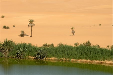 erg ubari - Mafu lake, Erg Awbari, Sahara desert, Fezzan, Libya, North Africa, Africa Stock Photo - Rights-Managed, Code: 841-03058566